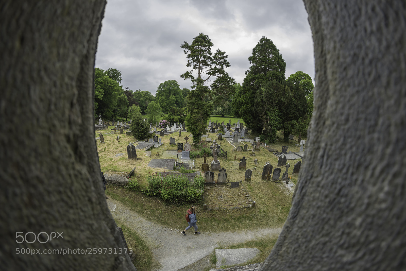 Nikon D810 sample photo. View of old graves photography