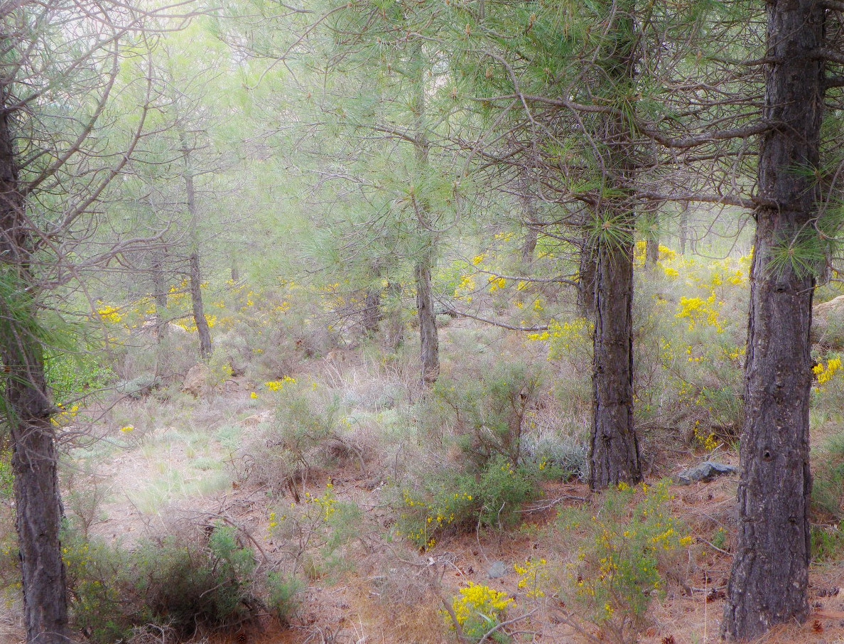 Olympus SP-565UZ sample photo. Sierra de los filabres / spain photography