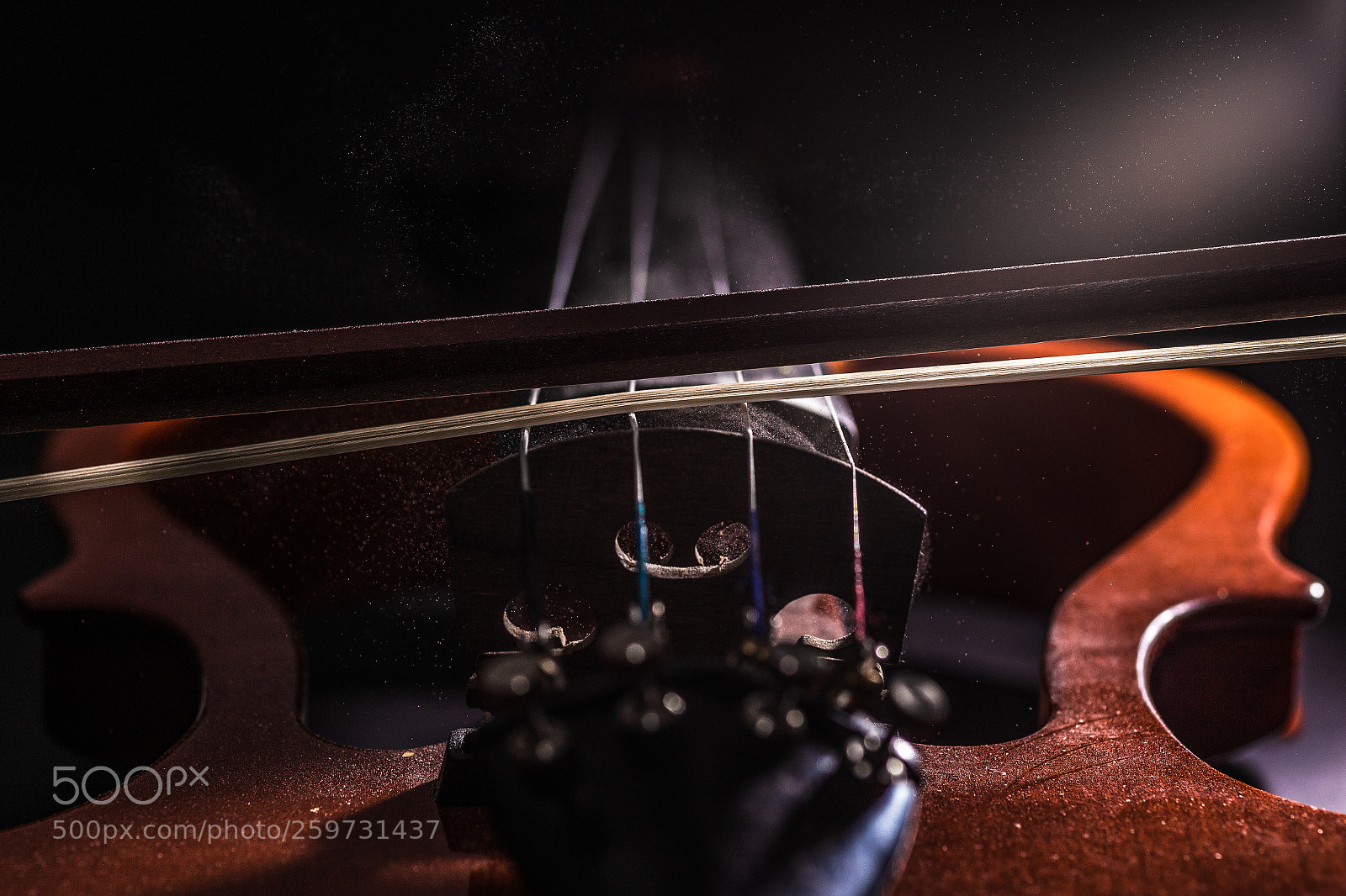 Canon EOS 6D sample photo. Violin photography