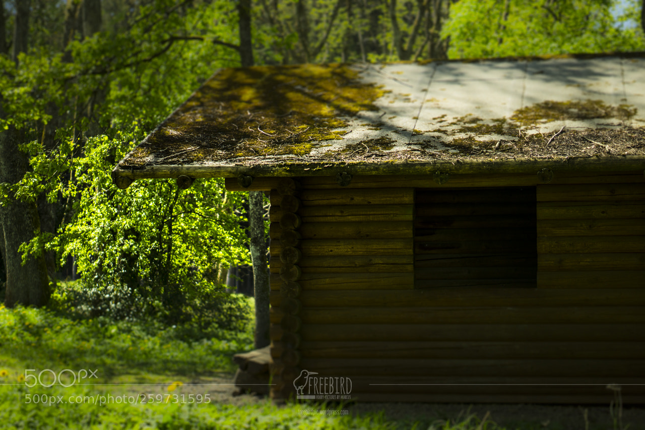 Sony a6000 sample photo. Picnic-time! photography