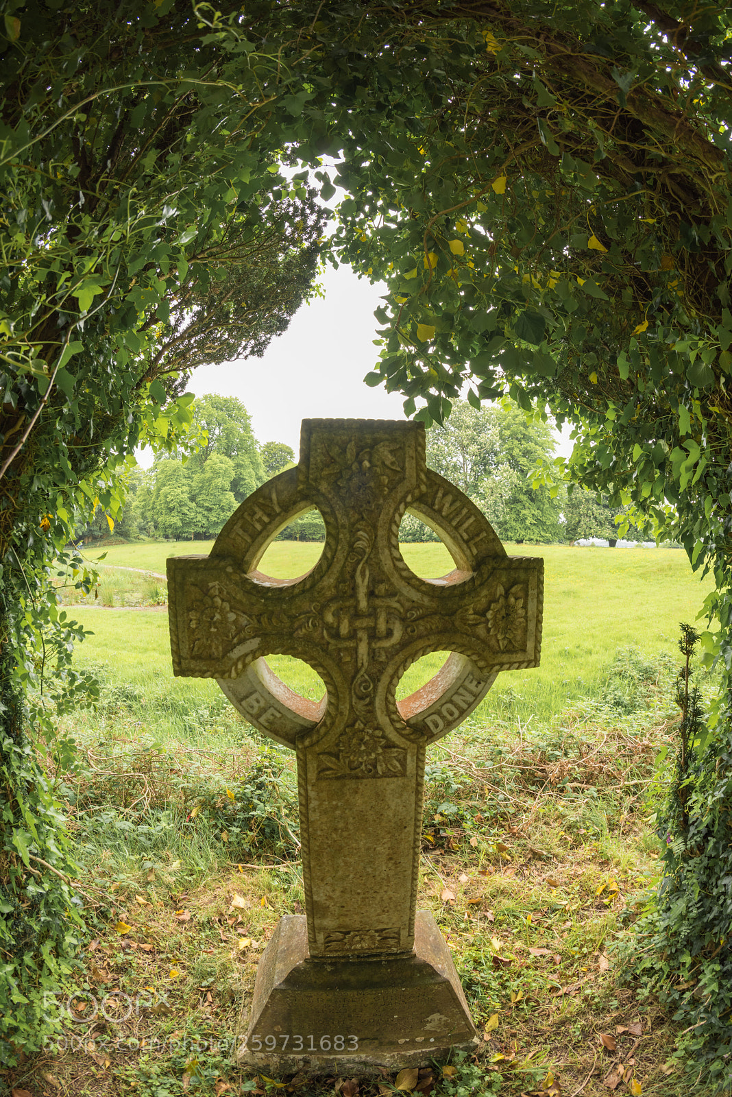 Nikon D810 sample photo. Ancient grave at muckross photography