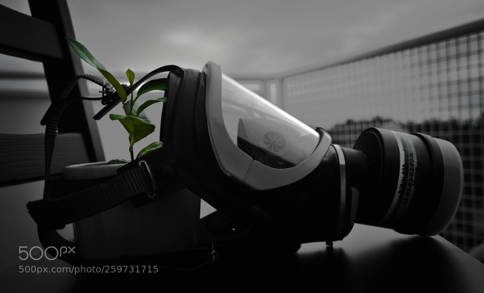 Nikon D7100 sample photo. Ineedair photography