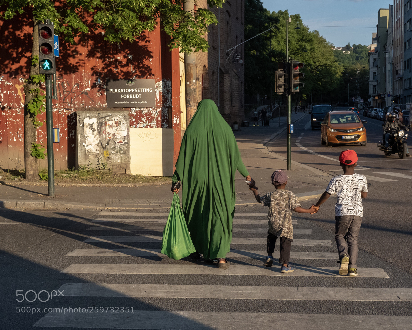 Fujifilm X-T20 sample photo. Double green photography
