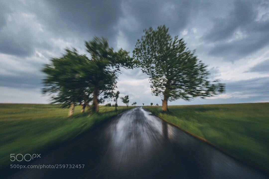 Canon EOS 6D sample photo. Motion photography