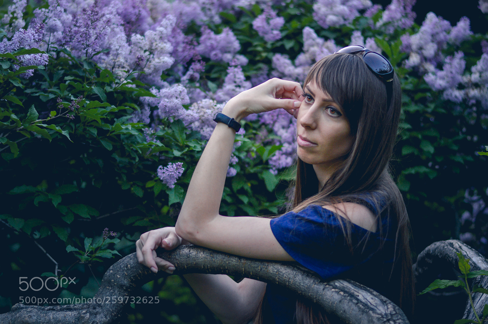 Nikon D3200 sample photo. Lilac dreams photography