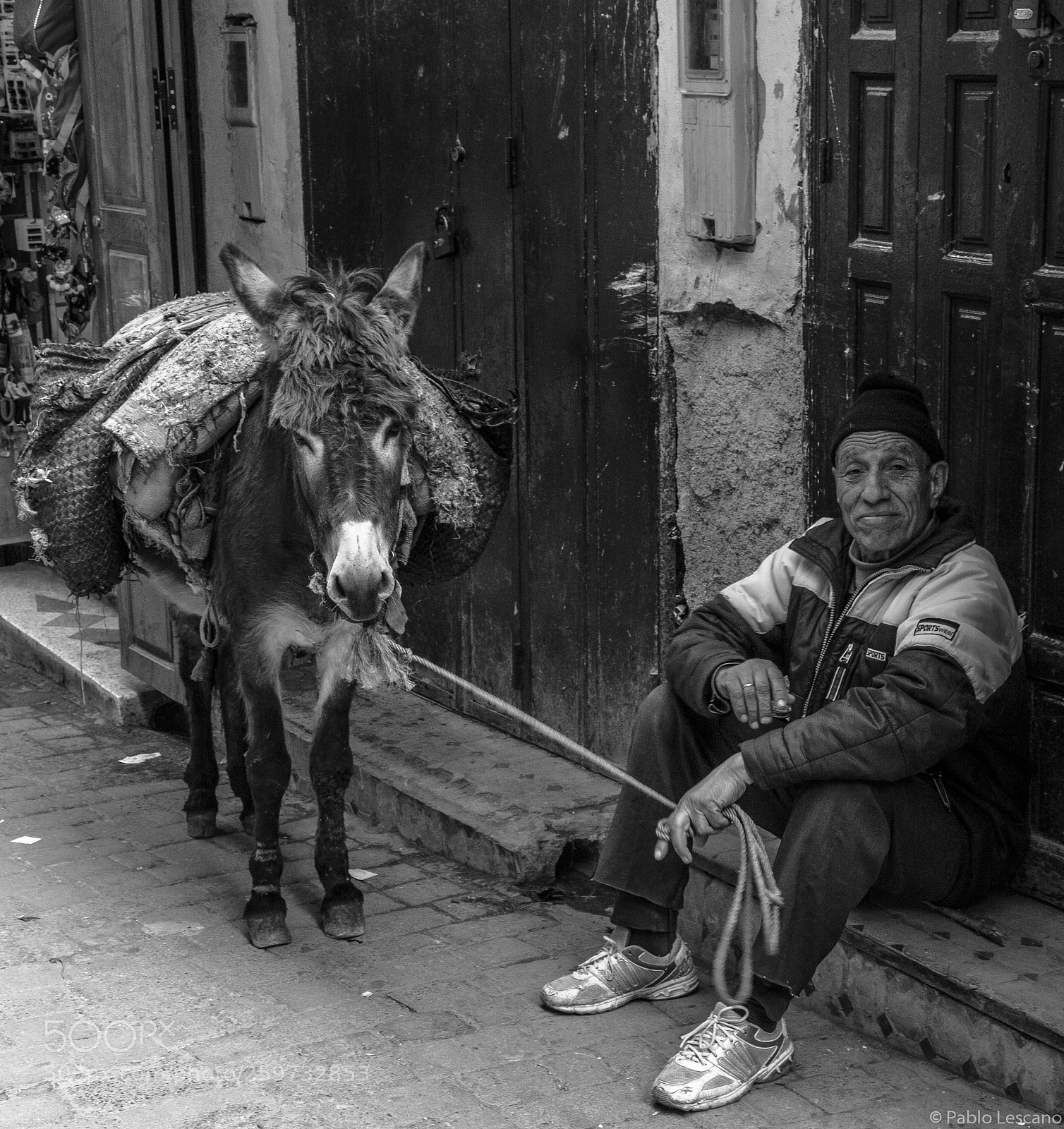 Canon EOS 6D sample photo. Donkey and a man. photography