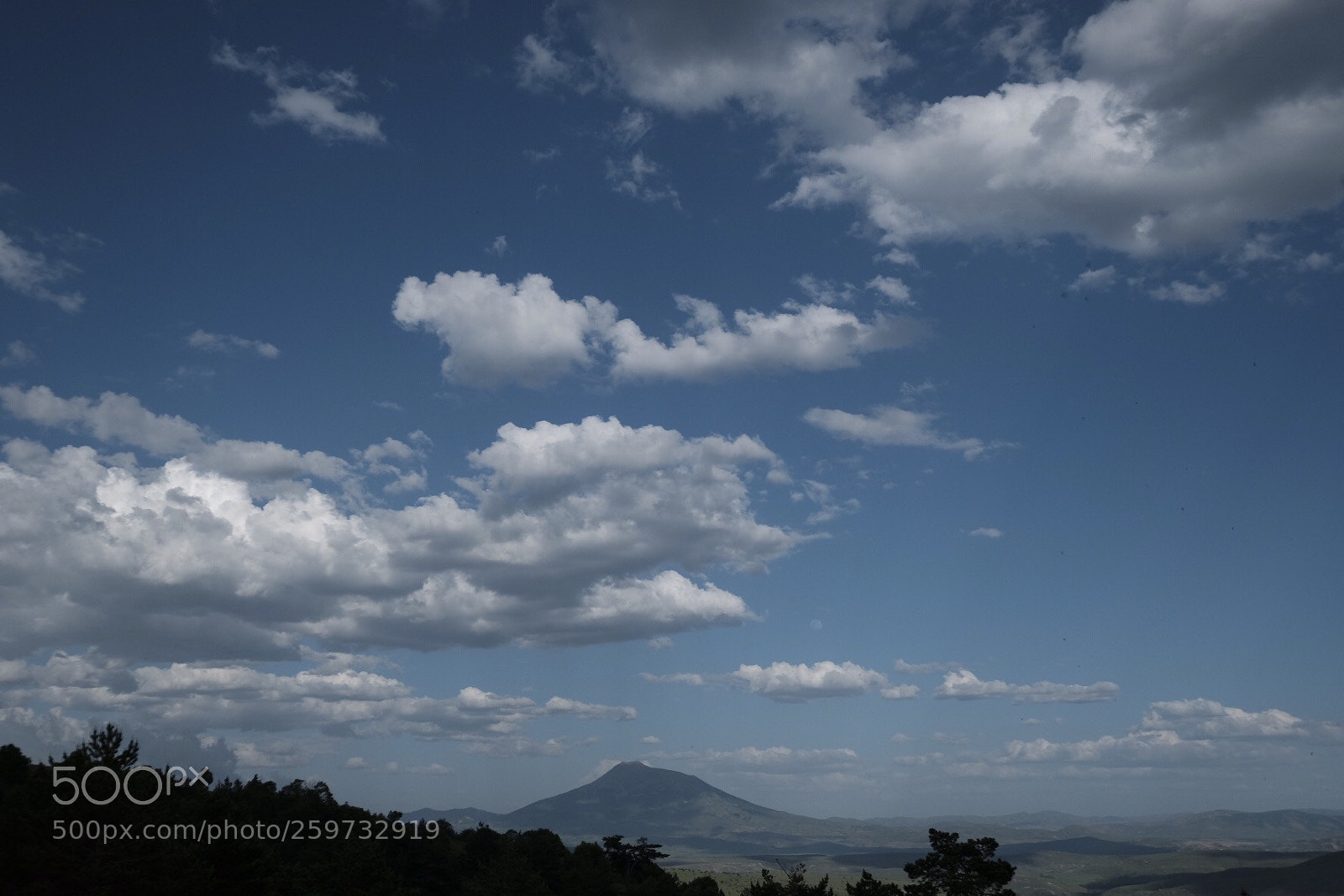 Fujifilm X-T20 sample photo. Untitled photography