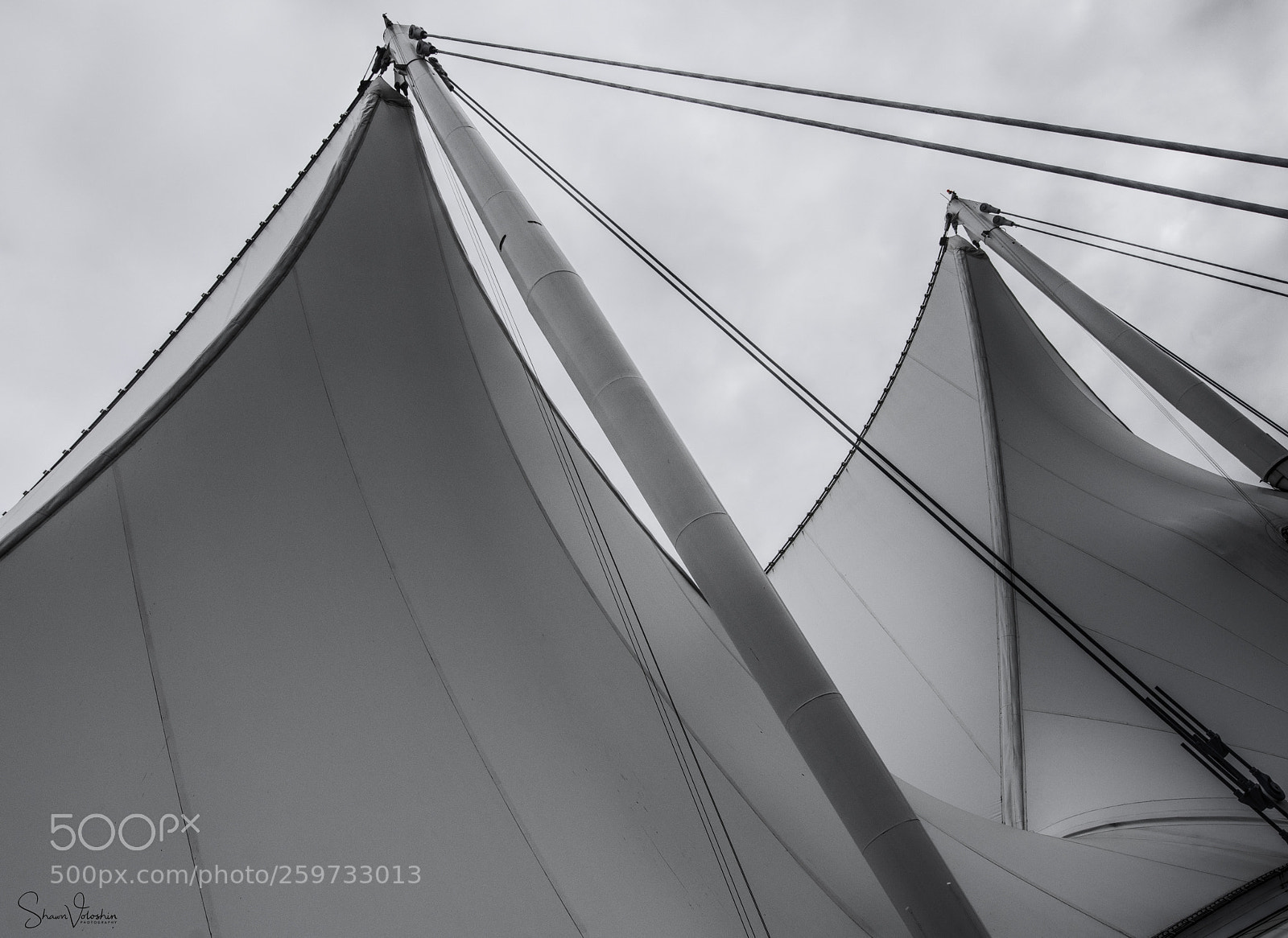 Nikon D750 sample photo. Texture of wind photography