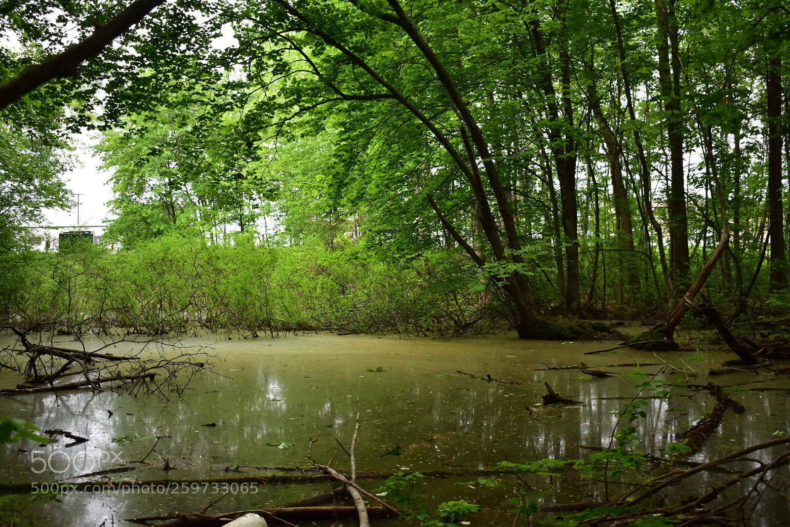 Nikon D3400 sample photo. Untitled photography