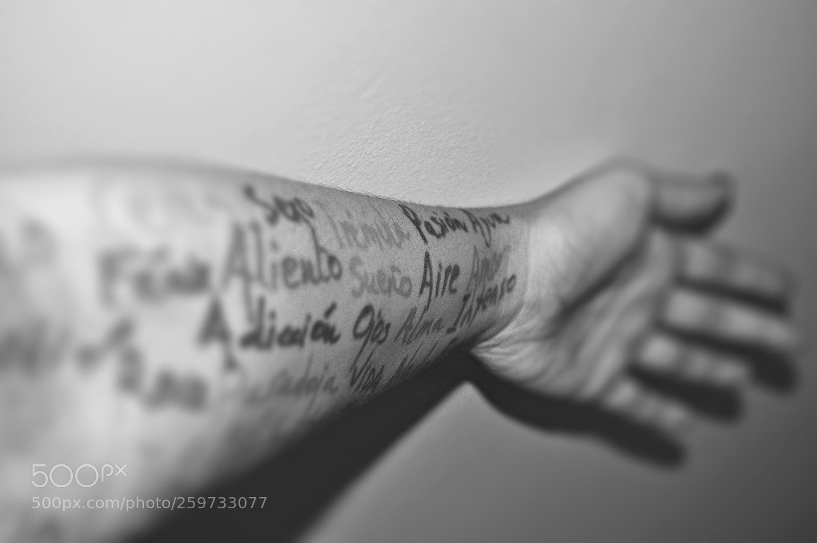 Nikon D5000 sample photo. Words photography