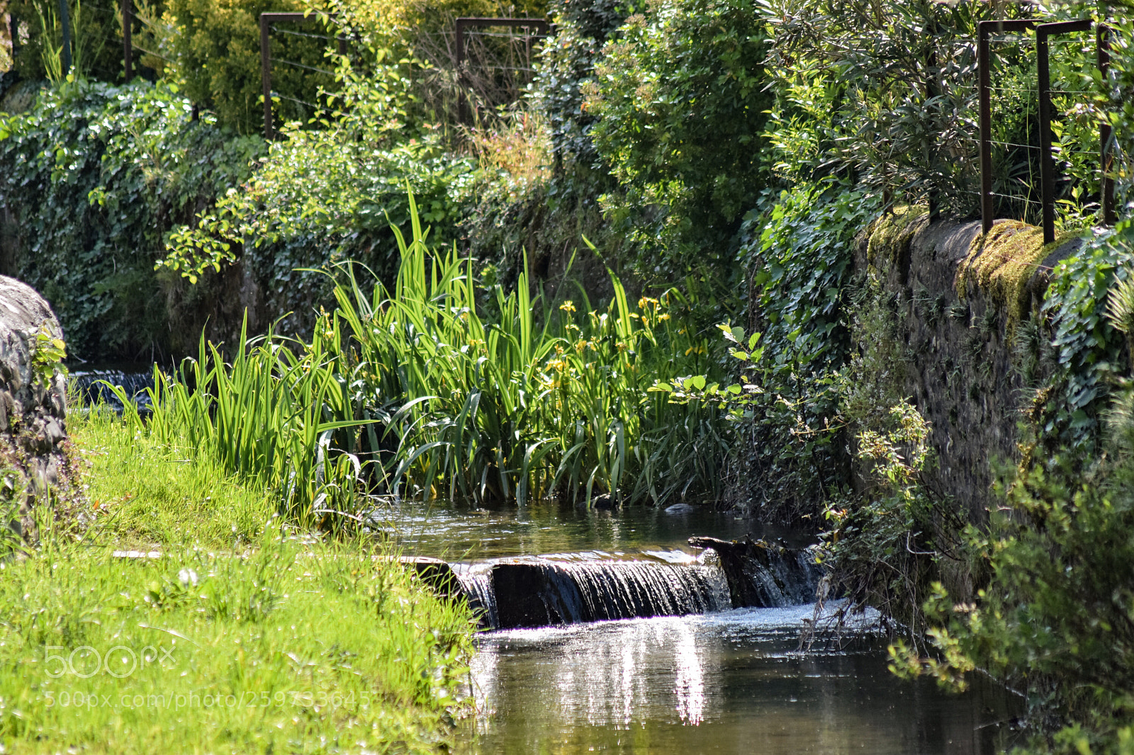 Nikon D5300 sample photo. Cours d’eaux  photography
