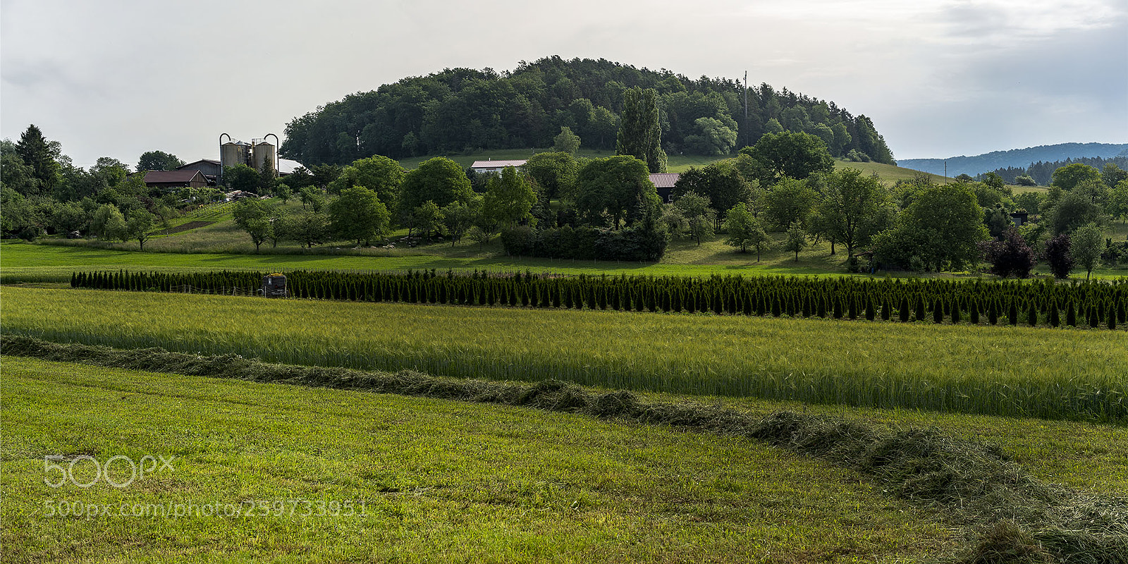 Sony a7R II sample photo. Eningen 270518-008 photography