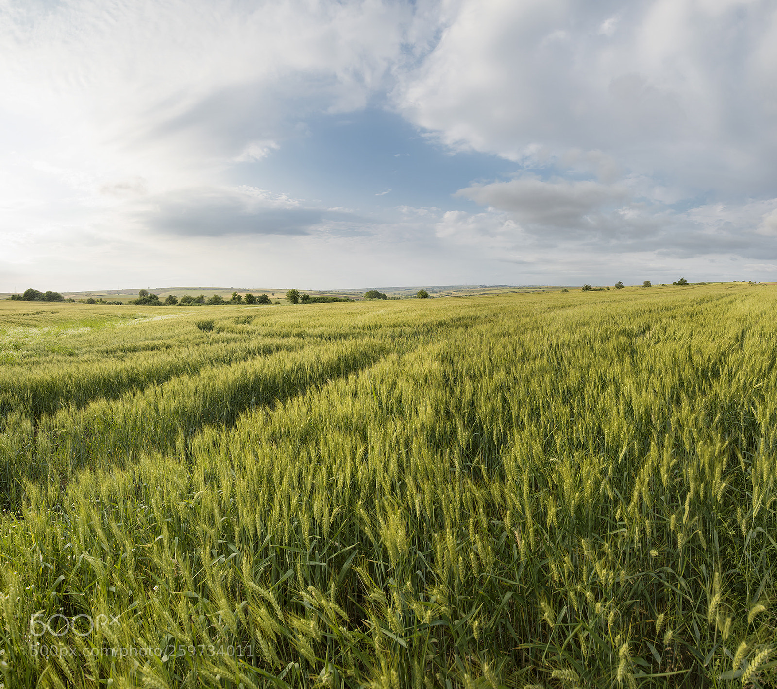 Nikon D850 sample photo. Panoramic photo of a photography