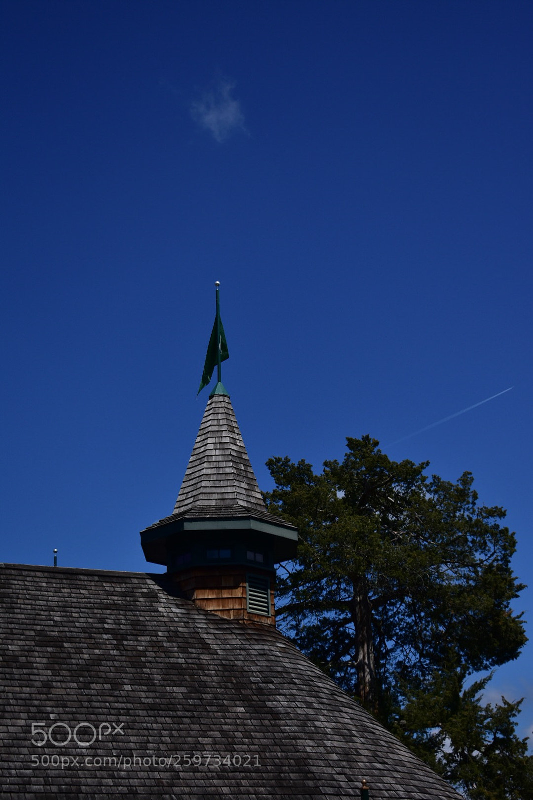 Nikon D3400 sample photo. Untitled photography