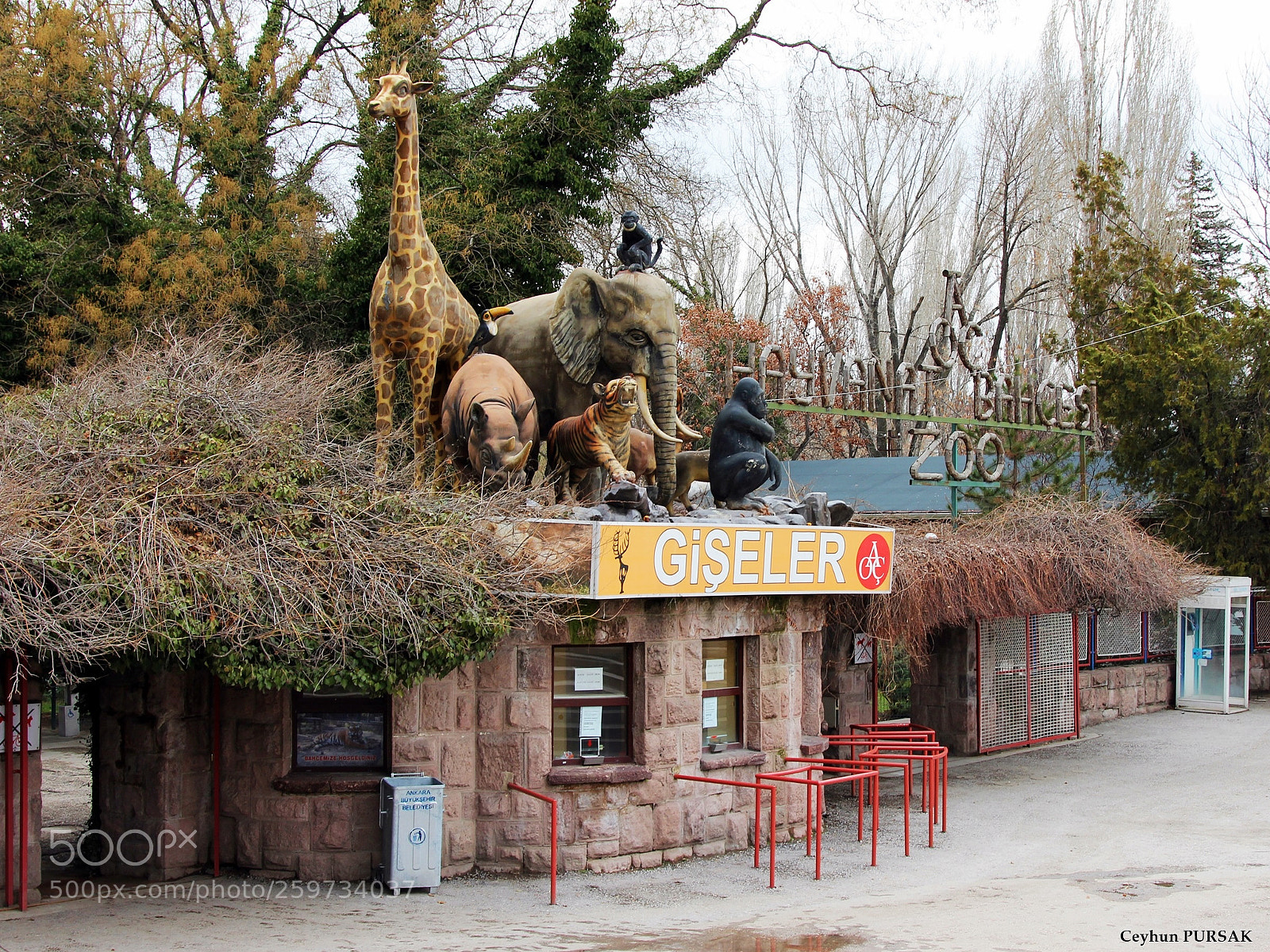 Canon EOS 60D sample photo. A.o.Ç. photography