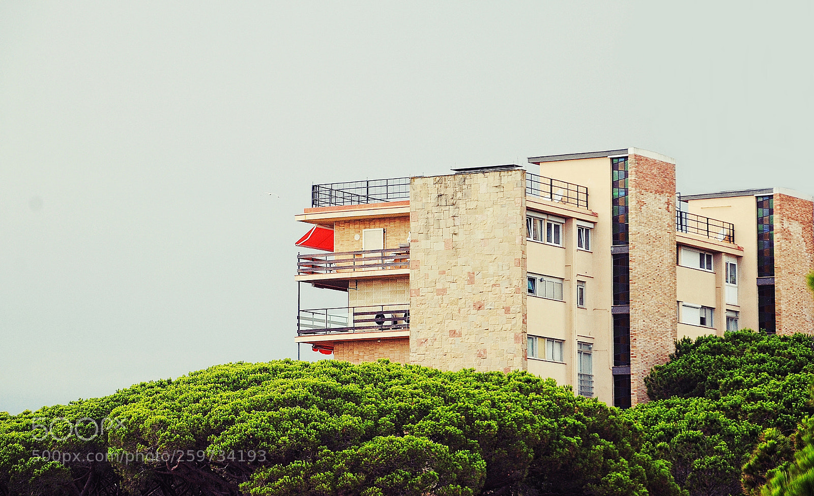 Nikon D3000 sample photo. Natura morta #costabrava photography