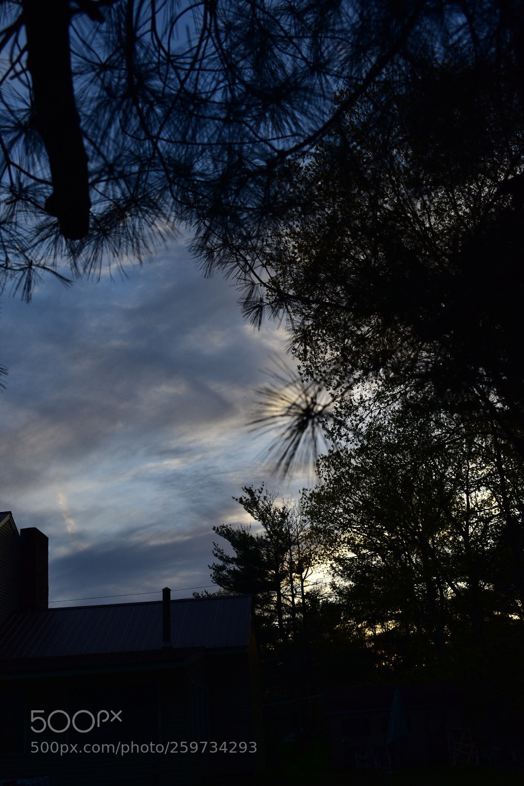 Nikon D3400 sample photo. Untitled photography