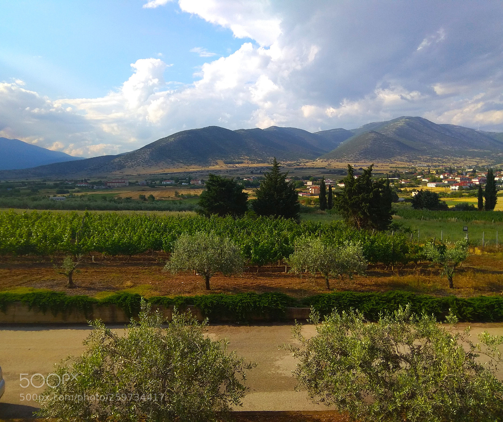 Xiaomi Redmi Note 4 sample photo. Winery kosta lazaridi photography