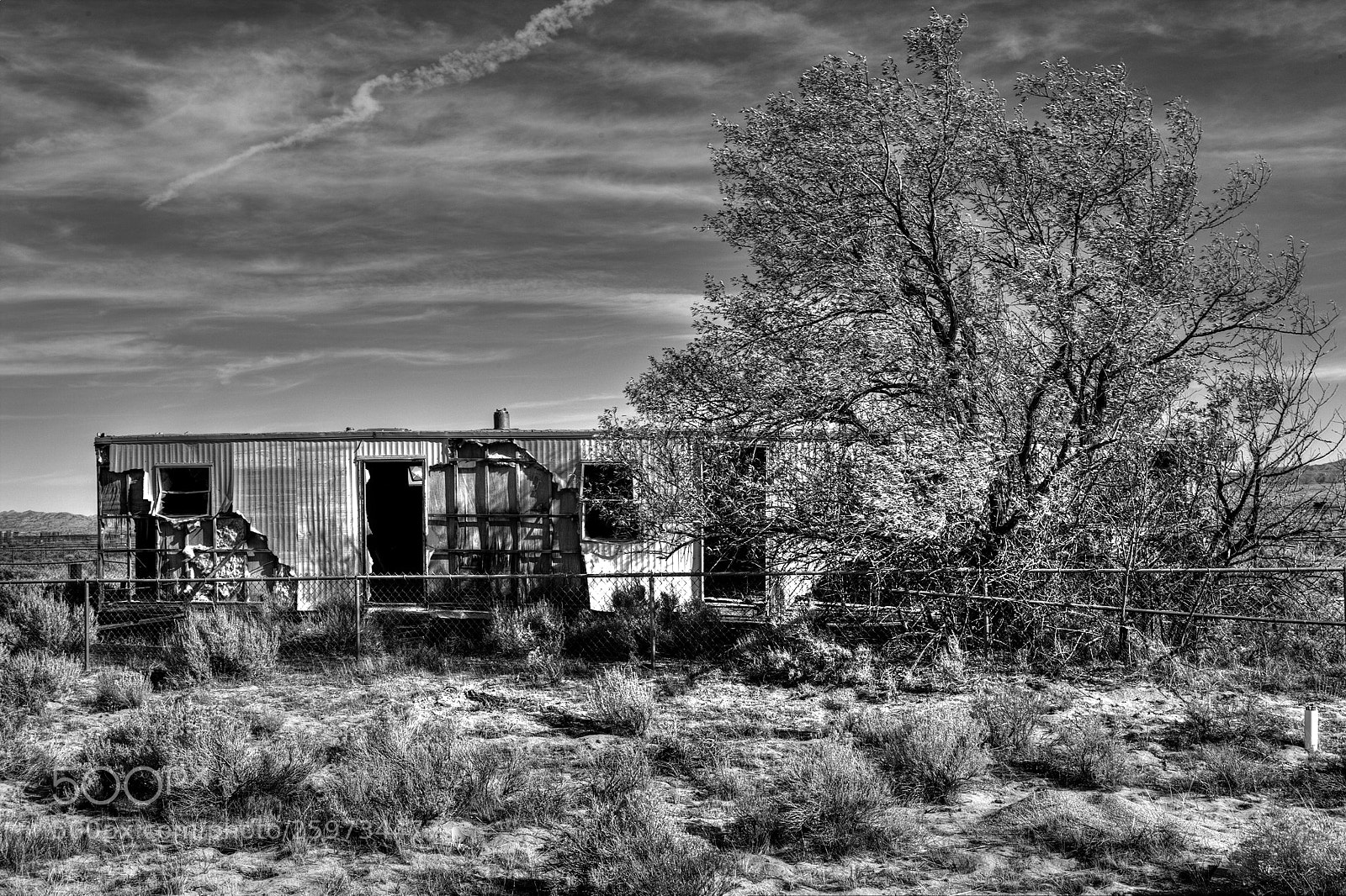 Canon EOS 5D Mark II sample photo. The wind spits single-wides photography