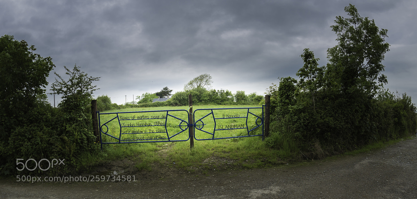 Nikon D810 sample photo. Beautiful words on the photography