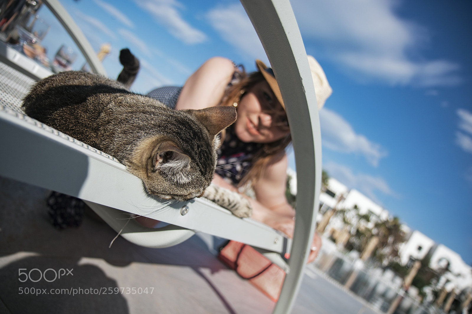 Canon EOS 7D Mark II sample photo. Cat on vacation photography