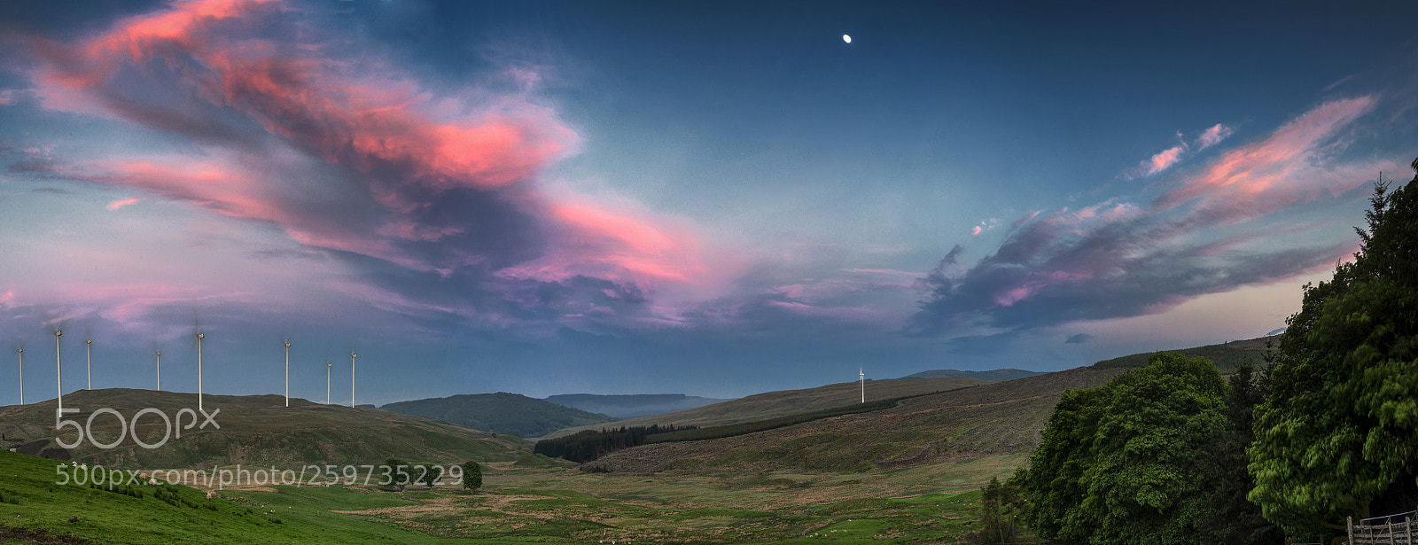 Nikon D800 sample photo. Earls hill sunset photography