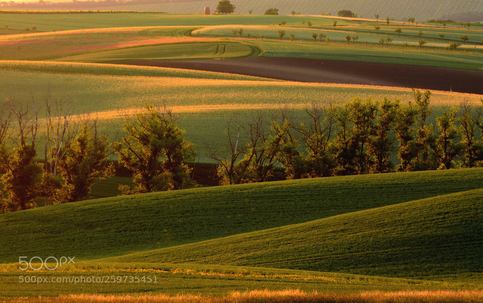 Nikon D7100 sample photo. Moravia evening photography