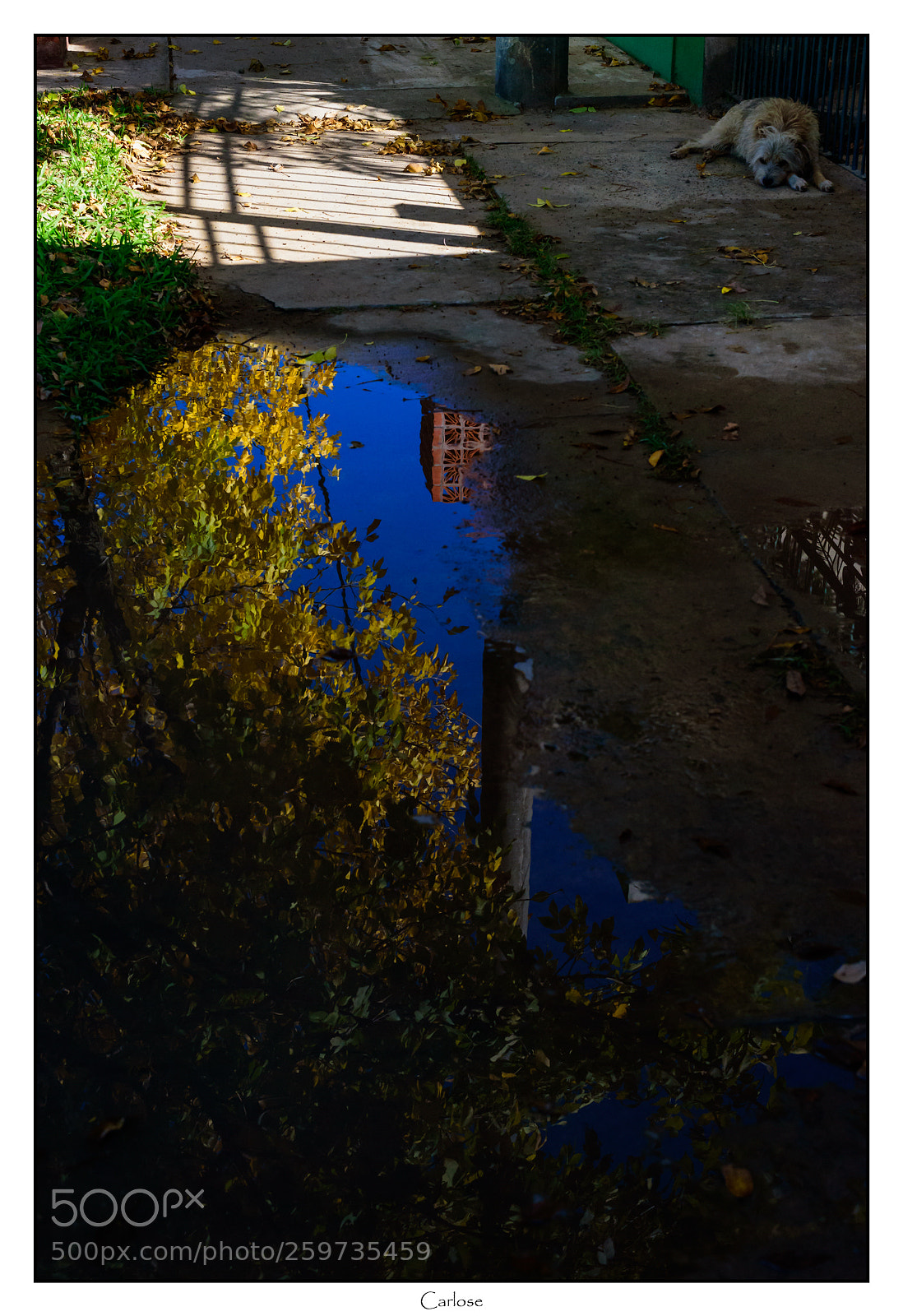 Nikon D750 sample photo. Autumn photography