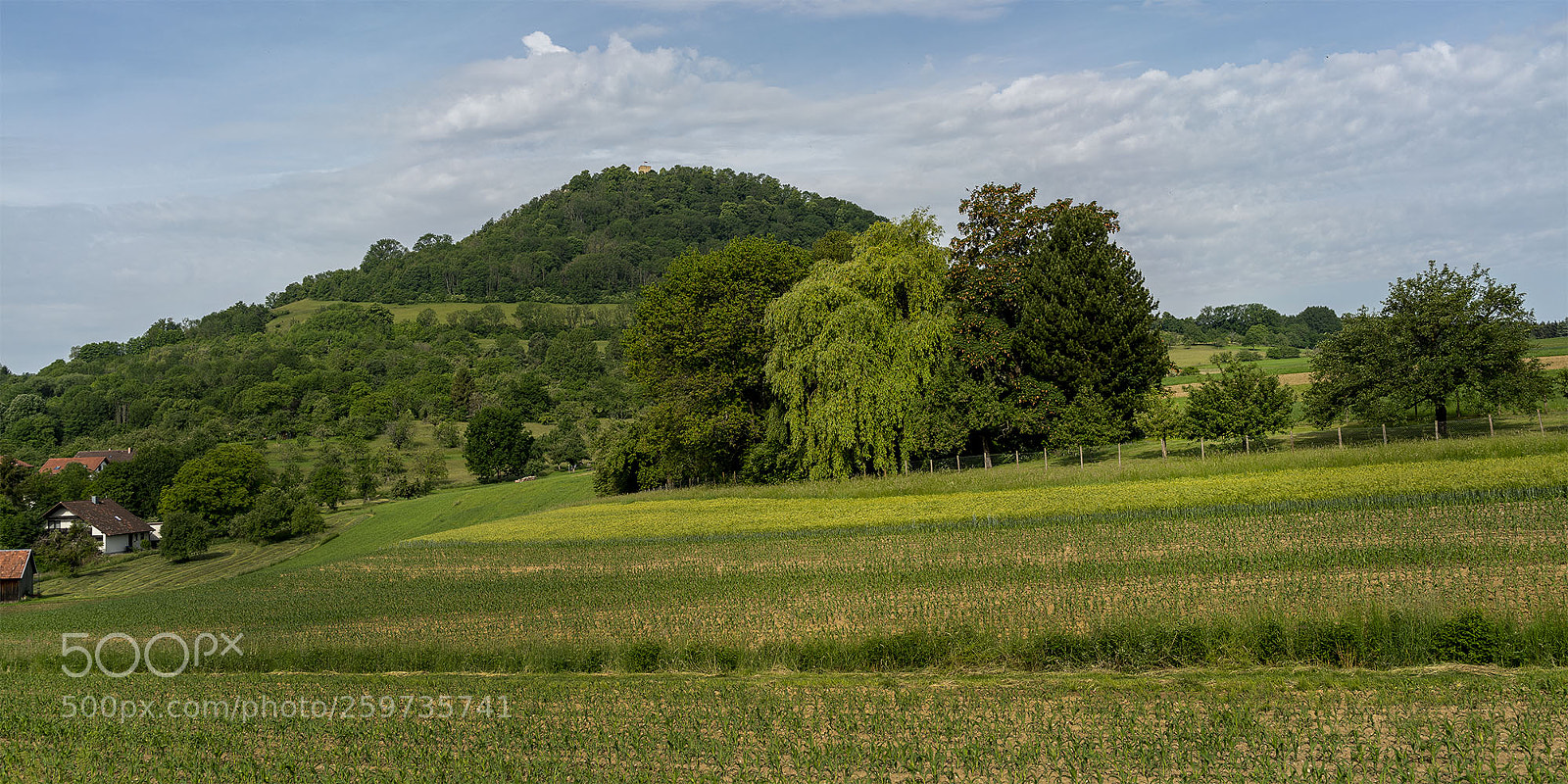 Sony a7R II sample photo. Eningen 270518-010 photography