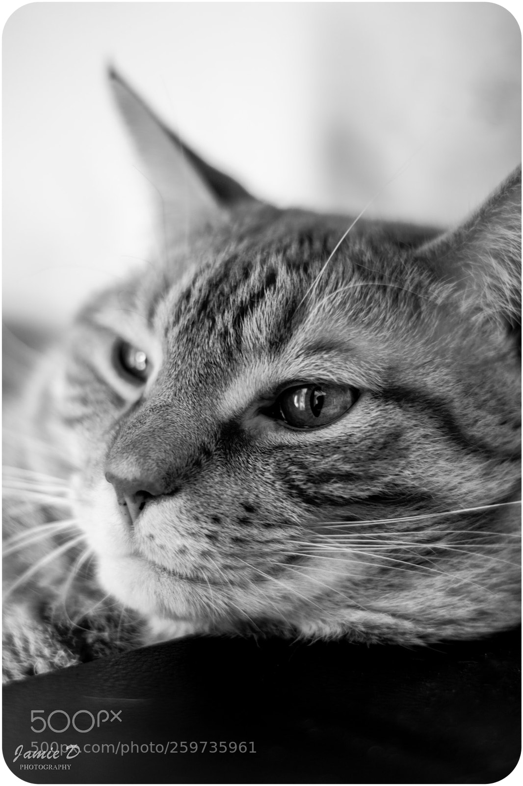 Nikon D7100 sample photo. Self portrait photography