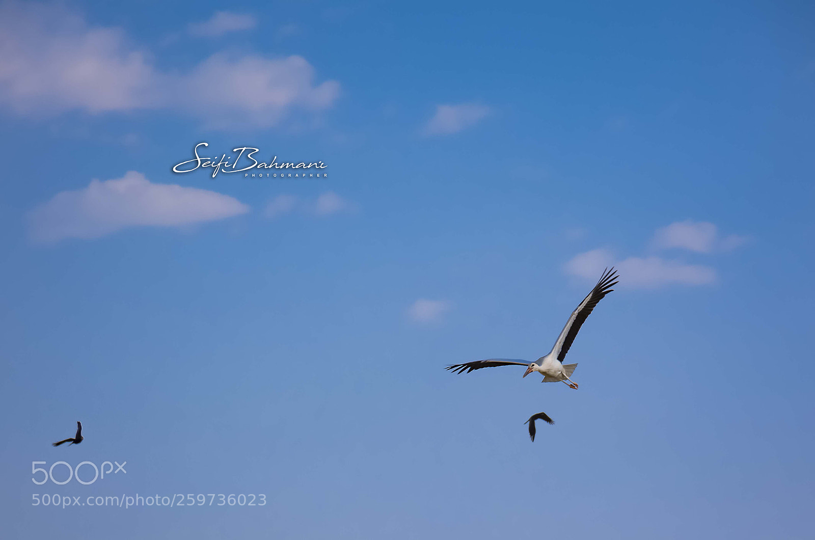 Nikon D7200 sample photo. Untitled photography