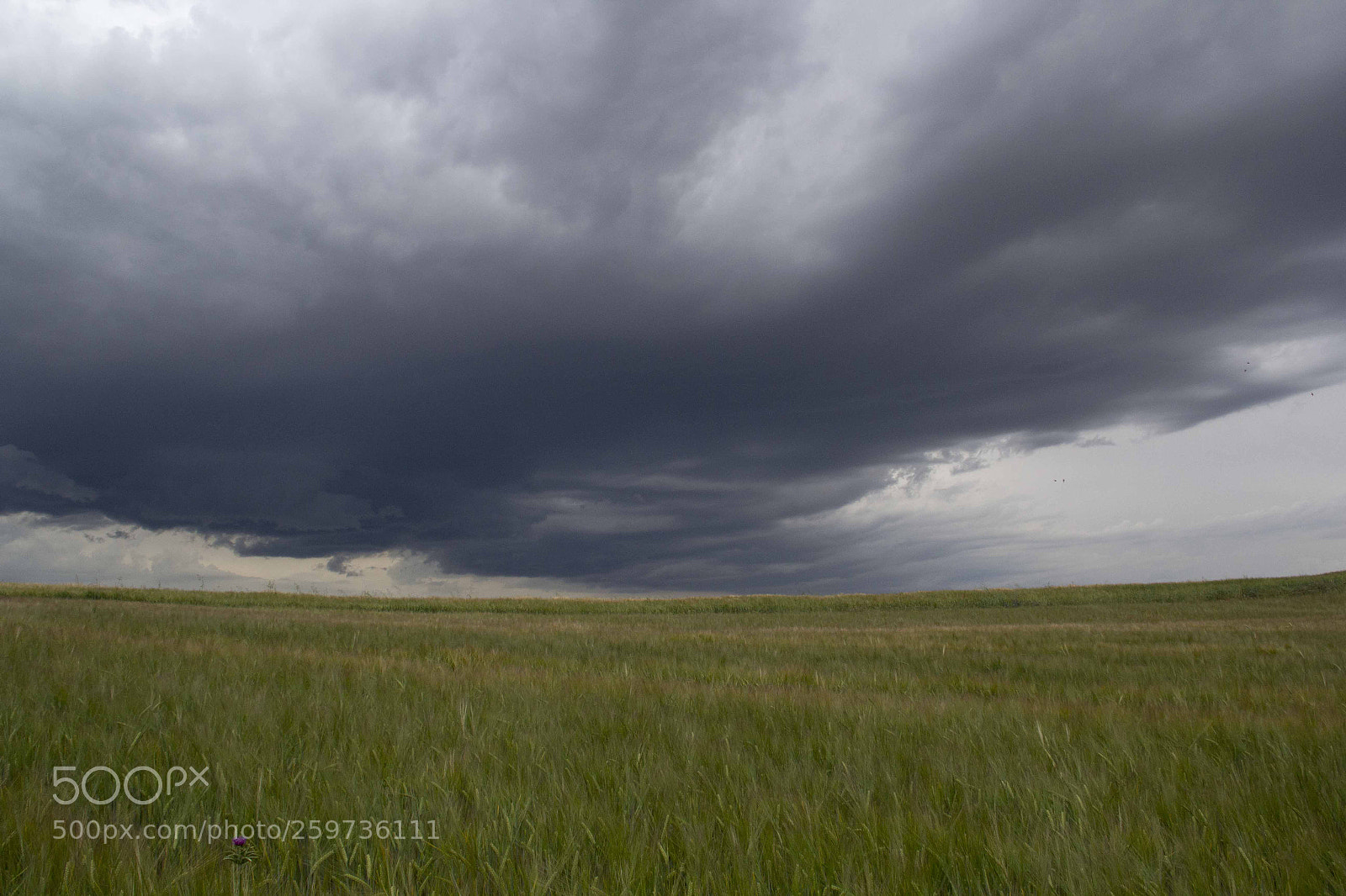Canon EOS 60D sample photo. Cielo de tormenta photography