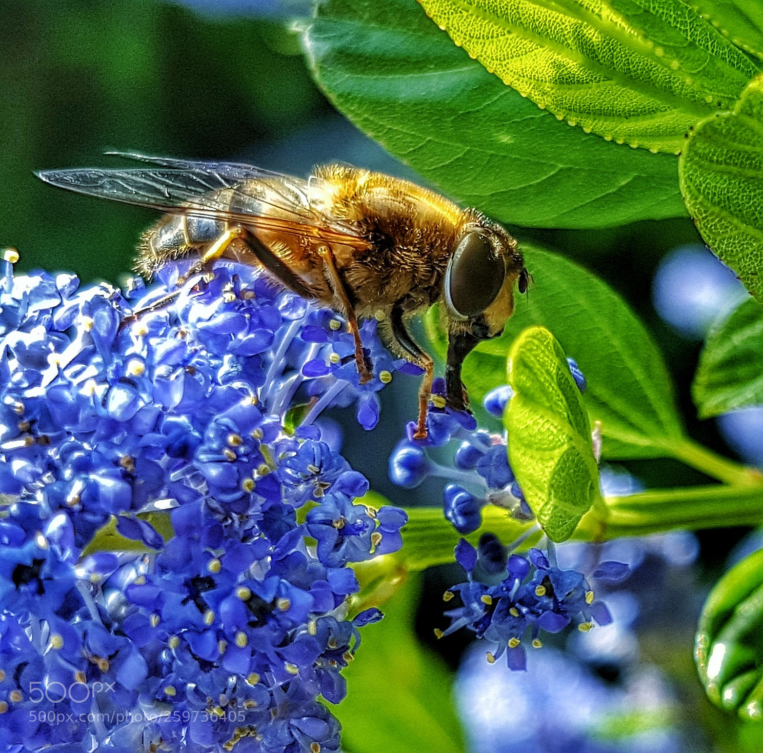 Samsung Galaxy S7 Edge sample photo. Untitled photography