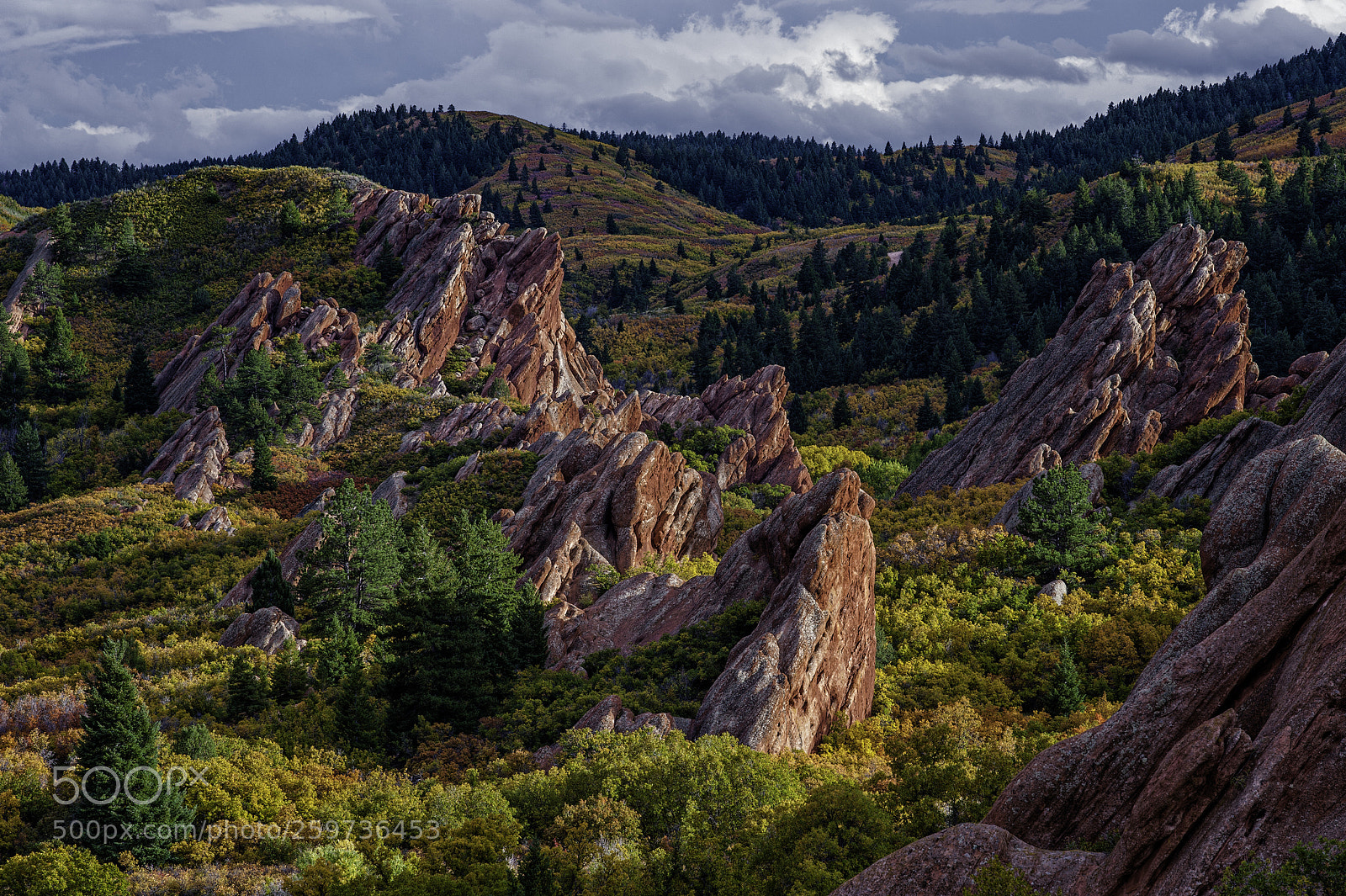 Nikon D700 sample photo. Roxborough #9474 photography