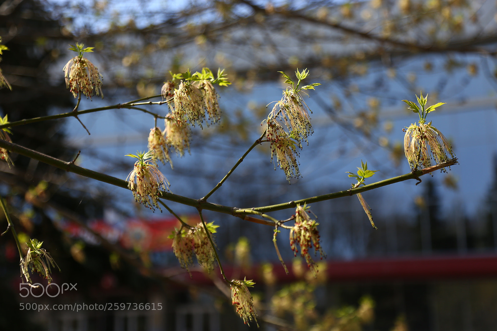 Canon EOS 6D + Canon EF 24-105mm F4L IS USM sample photo. Img photography