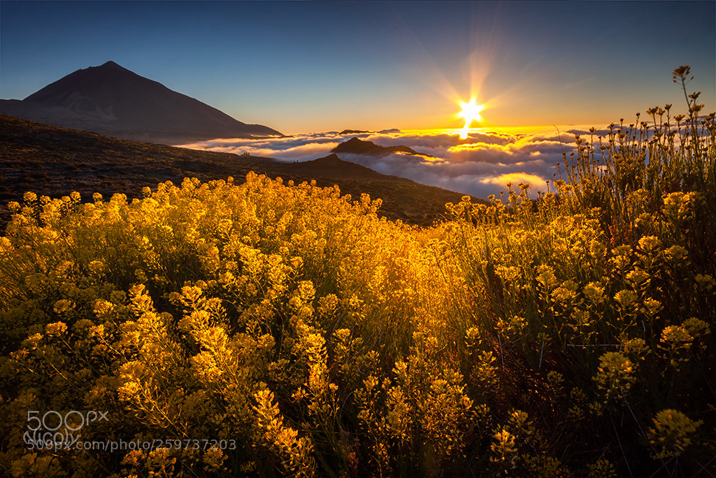 Canon EOS 50D sample photo. Sunset in tenerife. el photography