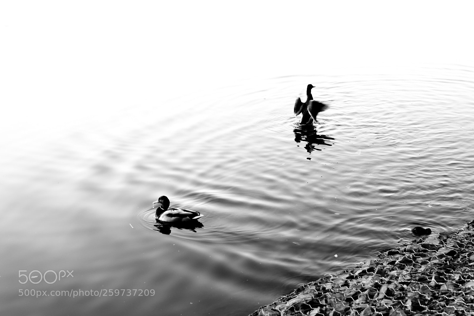 Canon EOS 5DS sample photo. Park photography