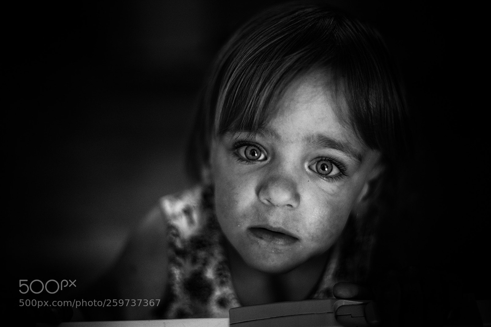 Canon EOS 6D Mark II sample photo. Olive bw#1 photography