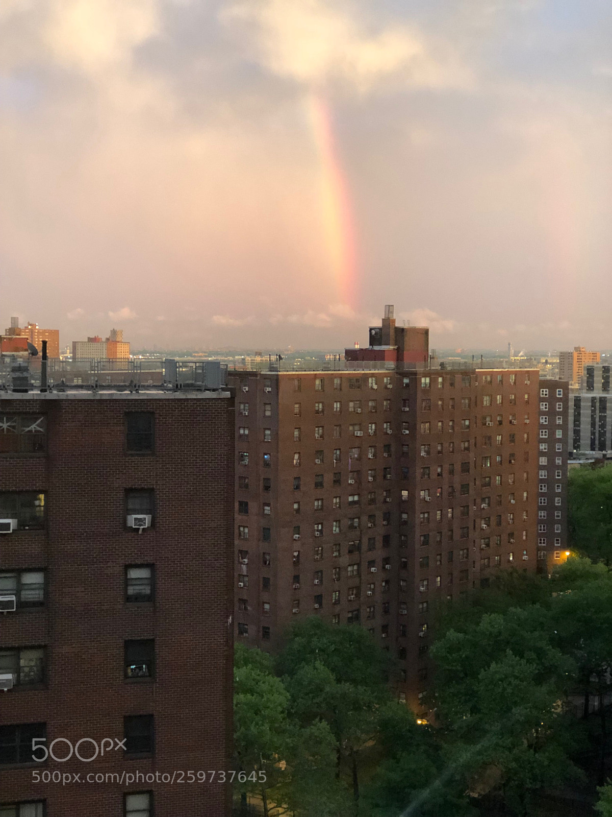 Apple iPhone 8 Plus sample photo. Rainbow2 photography