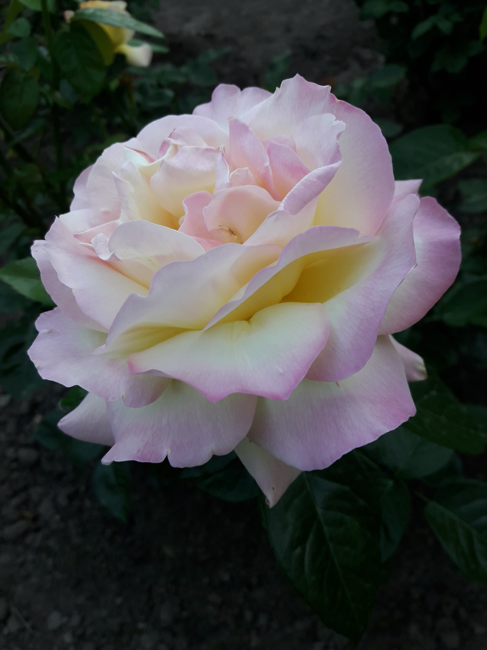 Samsung Galaxy J7 Neo sample photo. 20180527_181805.jpg photography