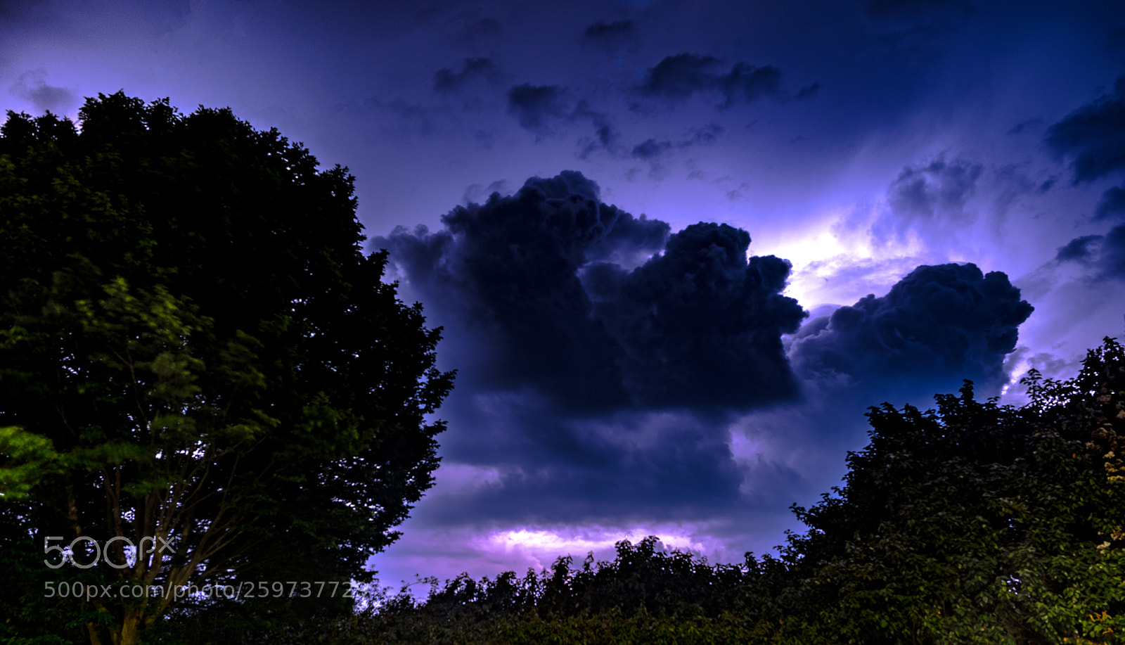 Nikon D810 sample photo. Sheet lightning photography