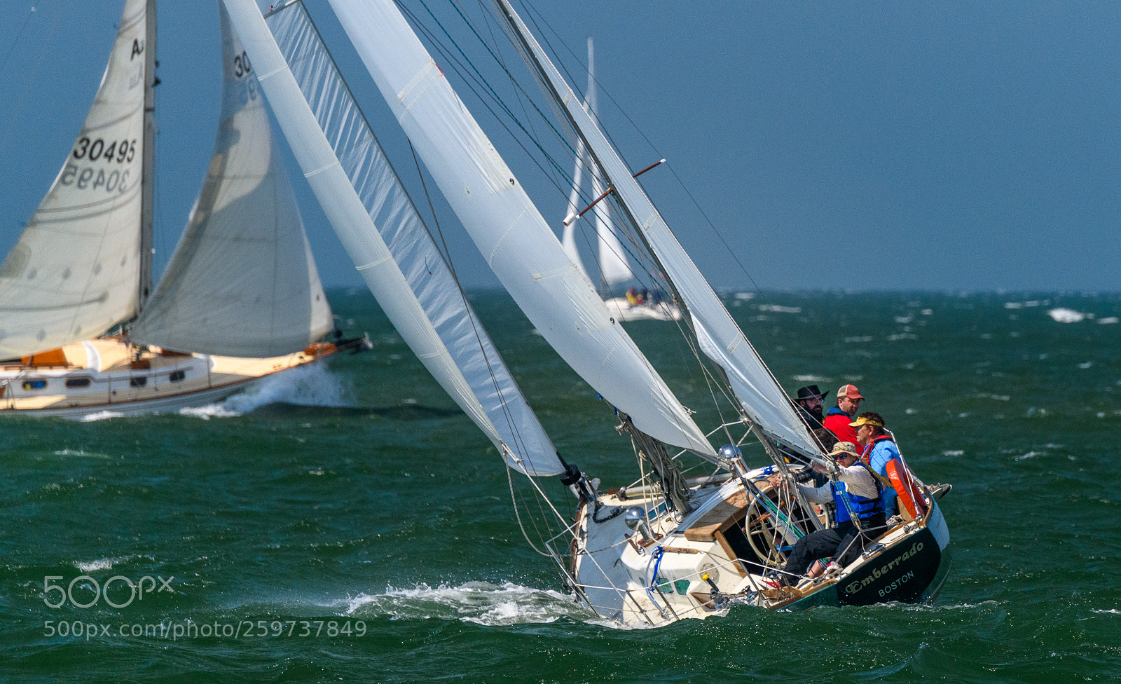 Nikon D850 sample photo. Collision course? photography