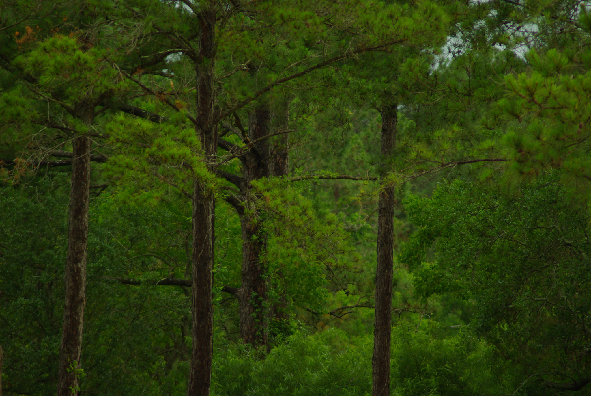 Tamron AF 70-300mm F4-5.6 LD Macro 1:2 sample photo. Urban landscape photography