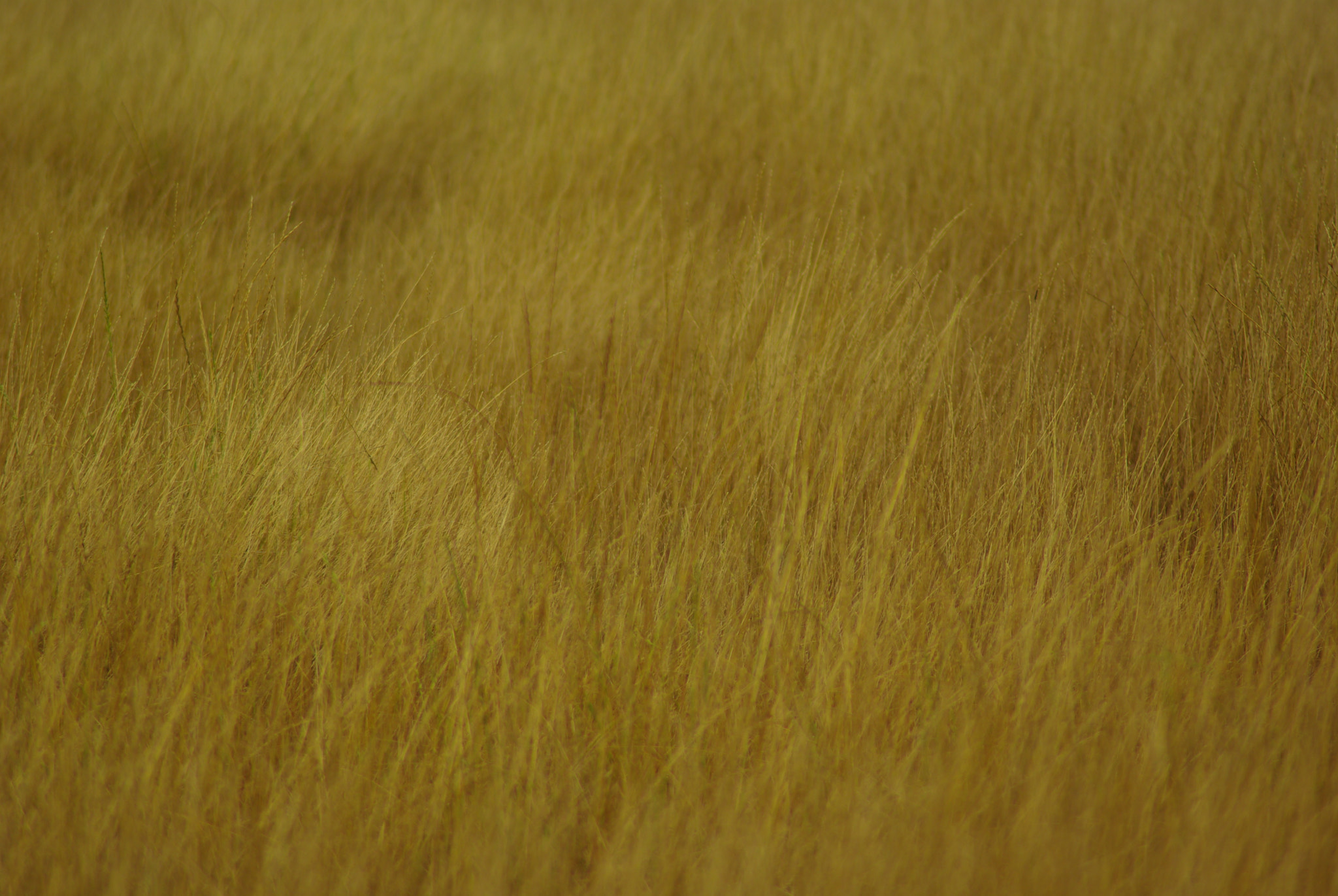Tamron AF 70-300mm F4-5.6 LD Macro 1:2 sample photo. Urban landscape photography