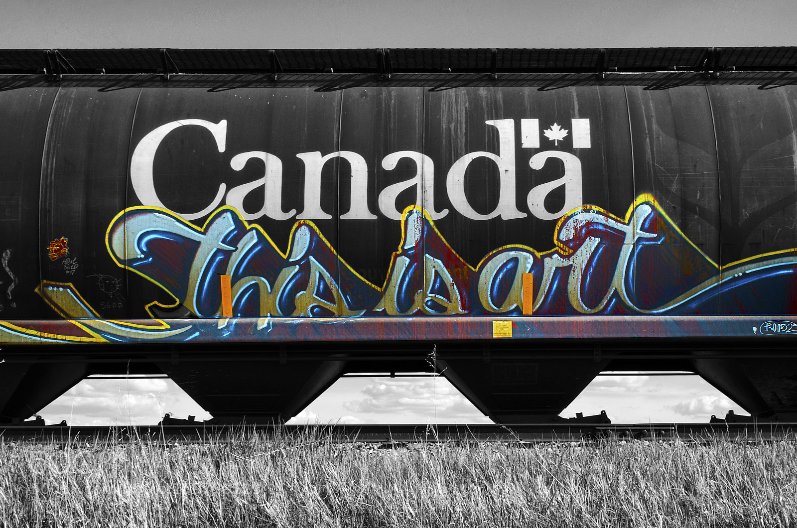 Nikon D7000 sample photo. Graffiti riding the rails 13 photography