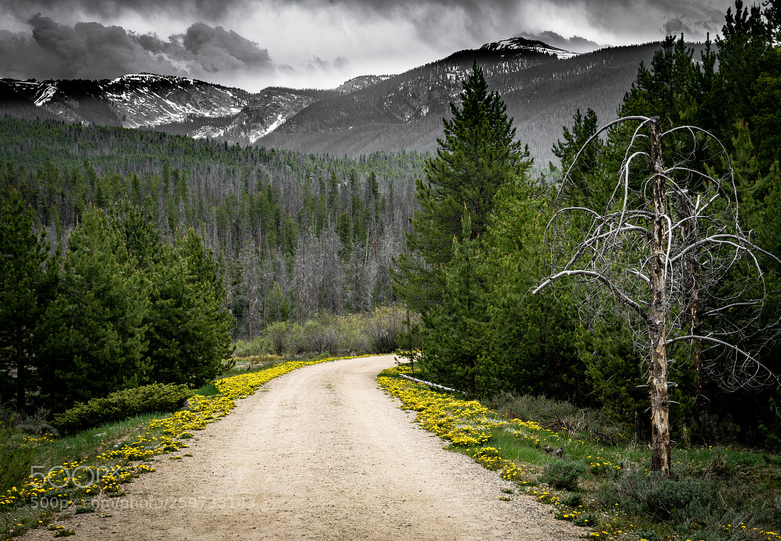 Sony a7R II sample photo. To the mountains photography