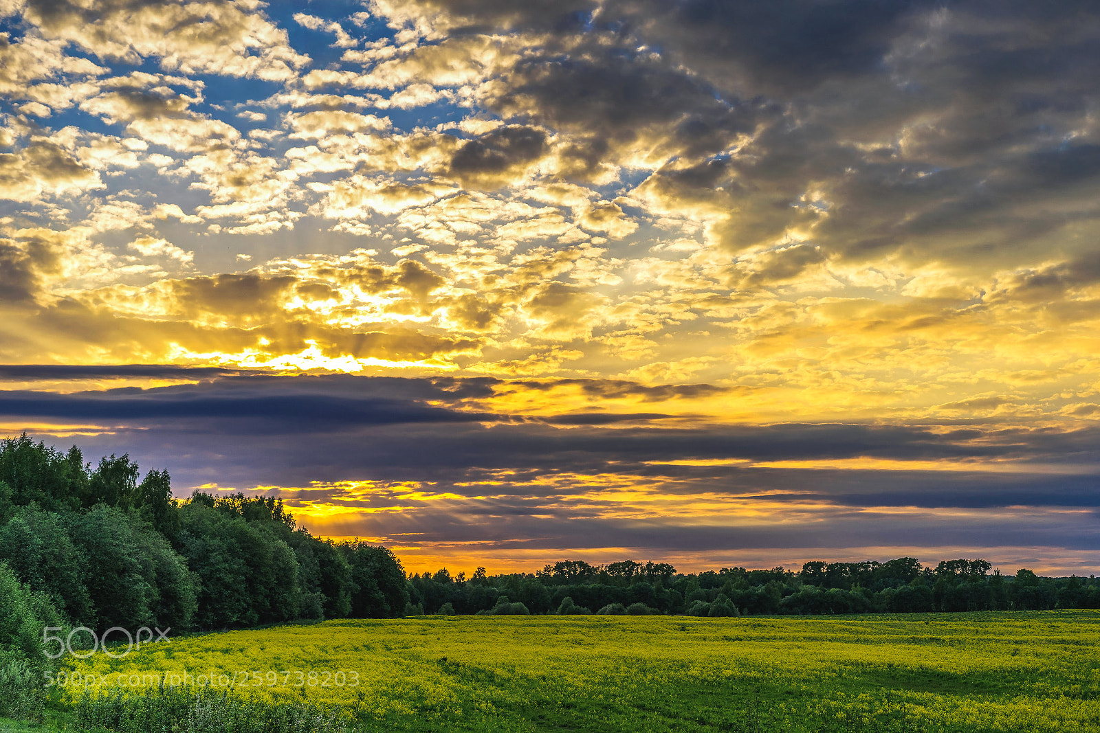 Sony a7 II sample photo. Sunset photography