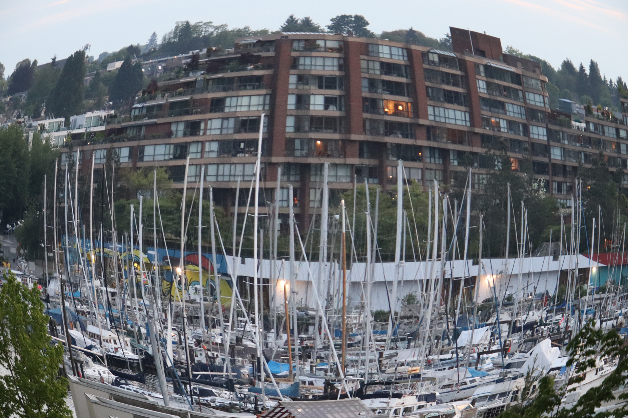 Canon EOS 800D (EOS Rebel T7i / EOS Kiss X9i) sample photo. Yatchs in the city. photography