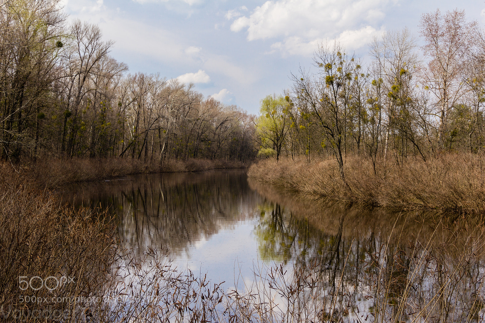 Canon EOS 60D sample photo. River photography