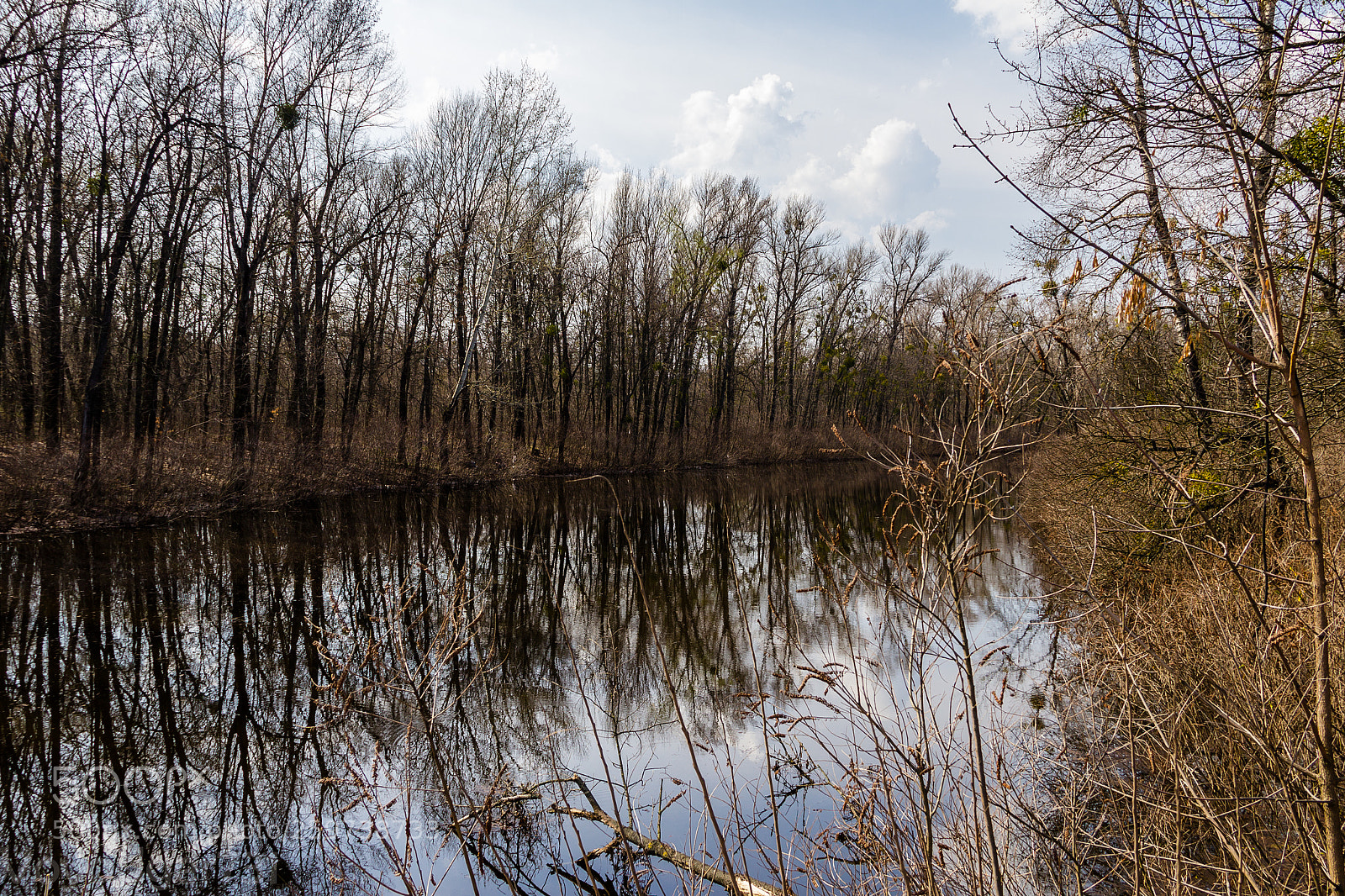 Canon EOS 60D sample photo. River photography